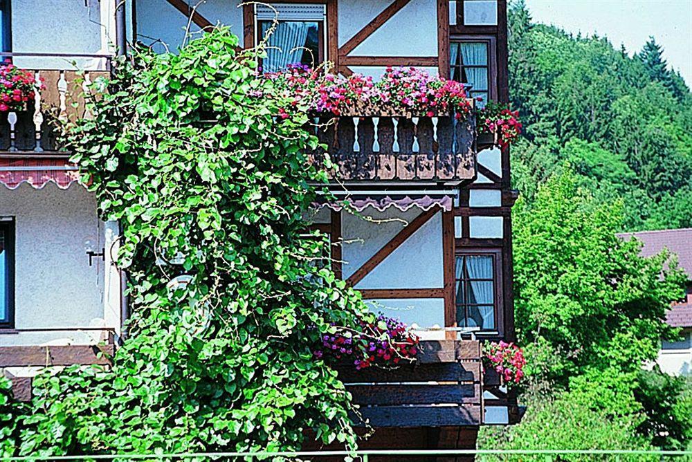 Hotel Hirsch Bad Peterstal-Griesbach Exterior foto